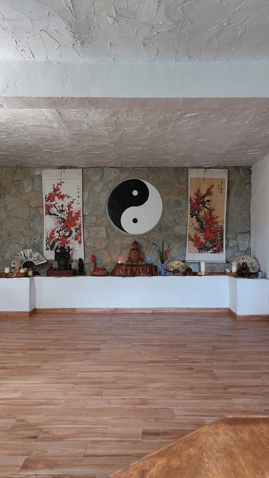 Drakfluga Chi Kung