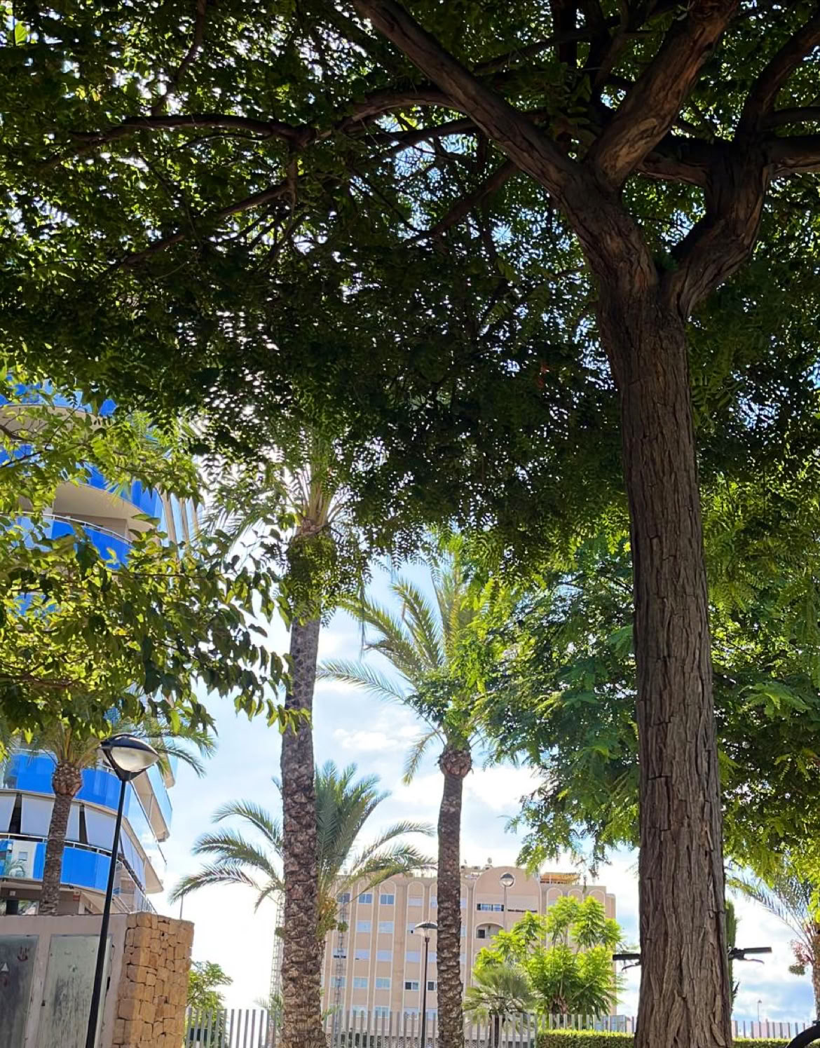 REVIVE RETREATS & FITNESS av Bomba Fitness Campello
