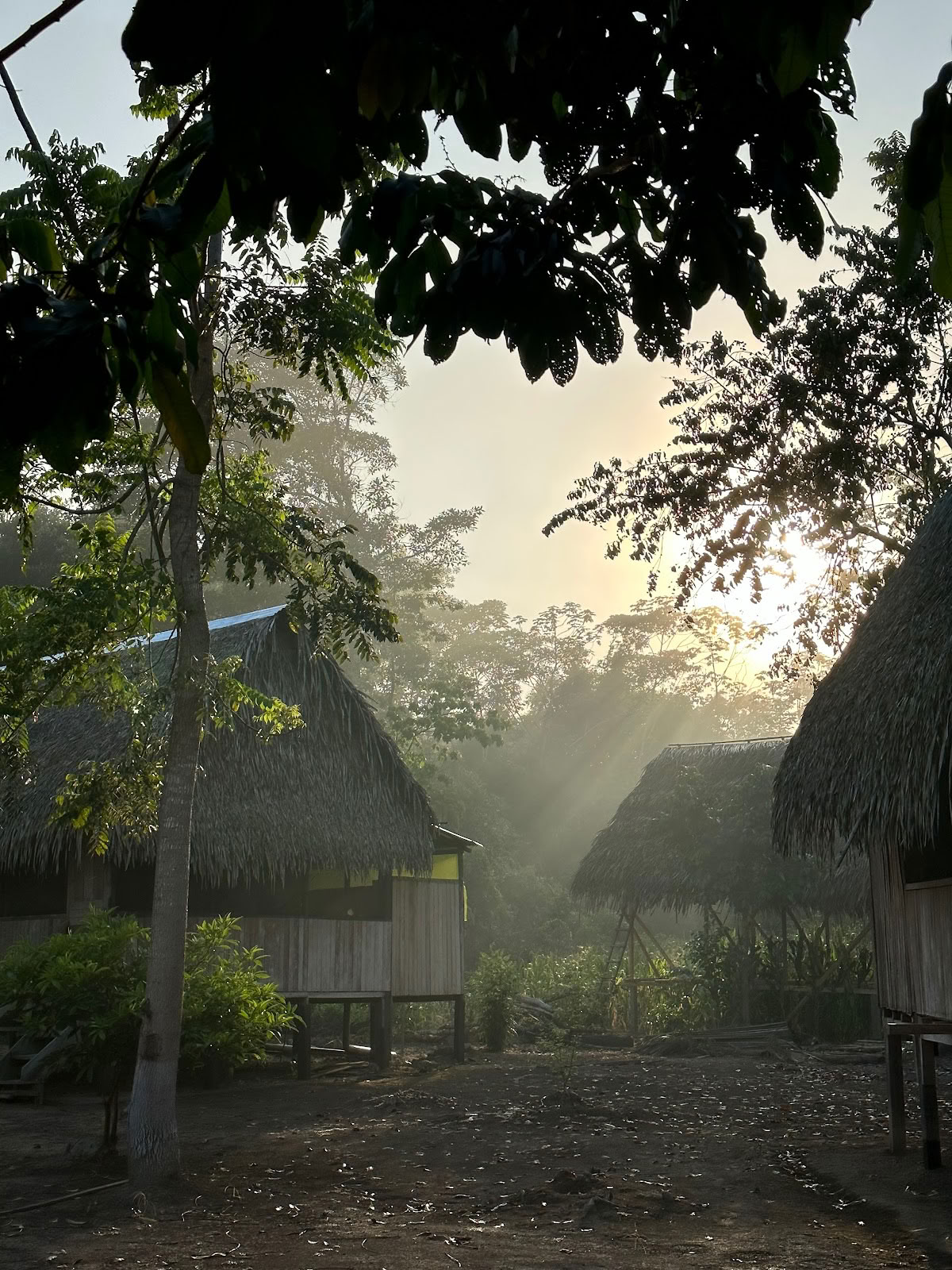 Kene Nete Healing Center