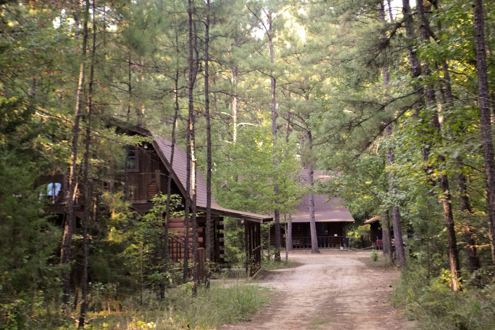 Retreat bland tallarna