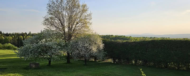 Centre Tara