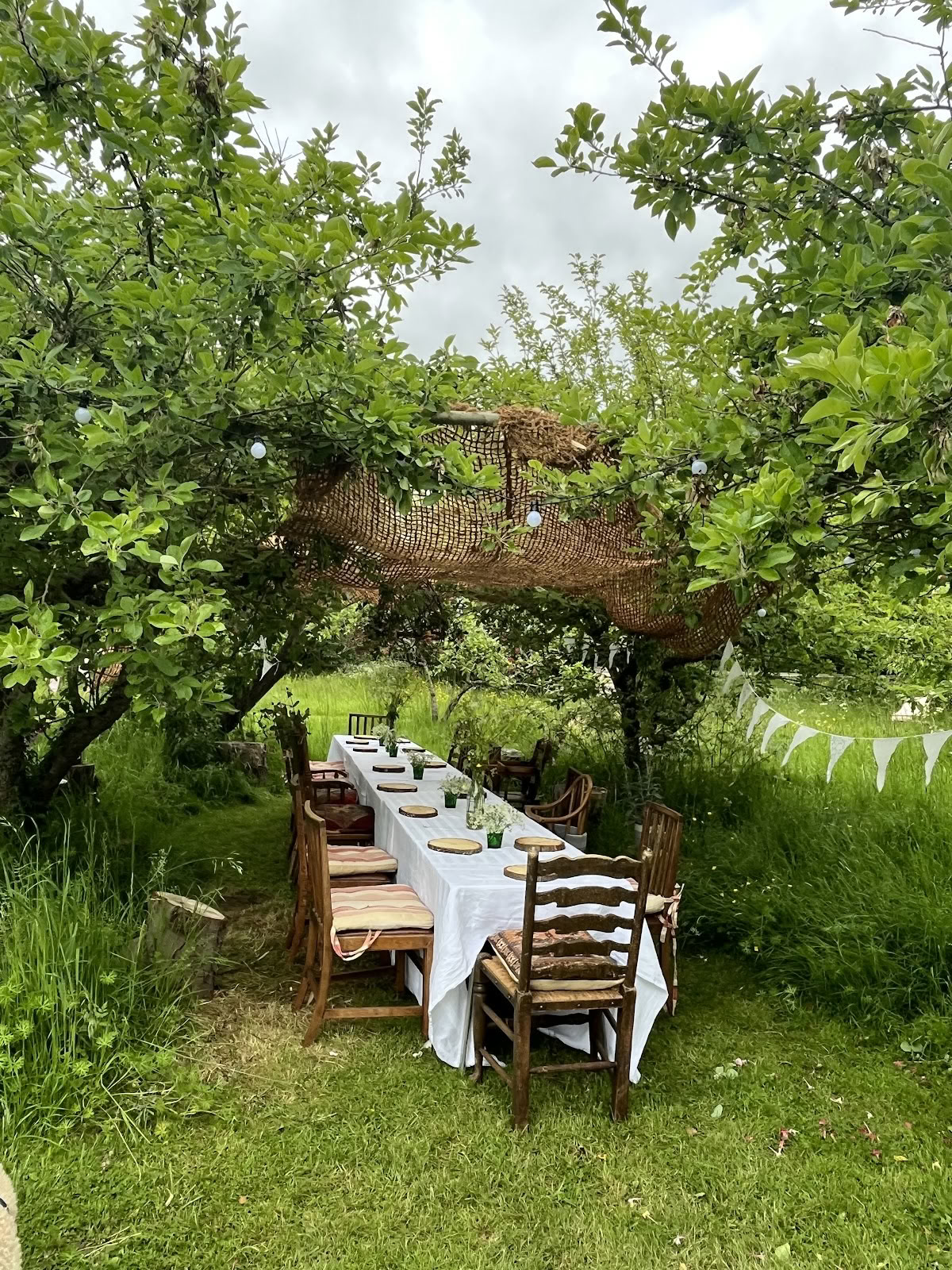 Vilda murgrönsretreats