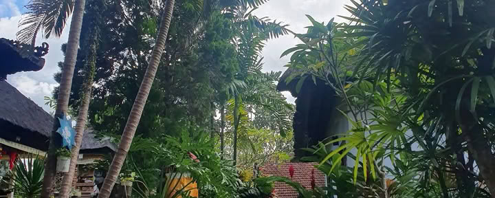 Bali Bliss Wellness Ubud Center