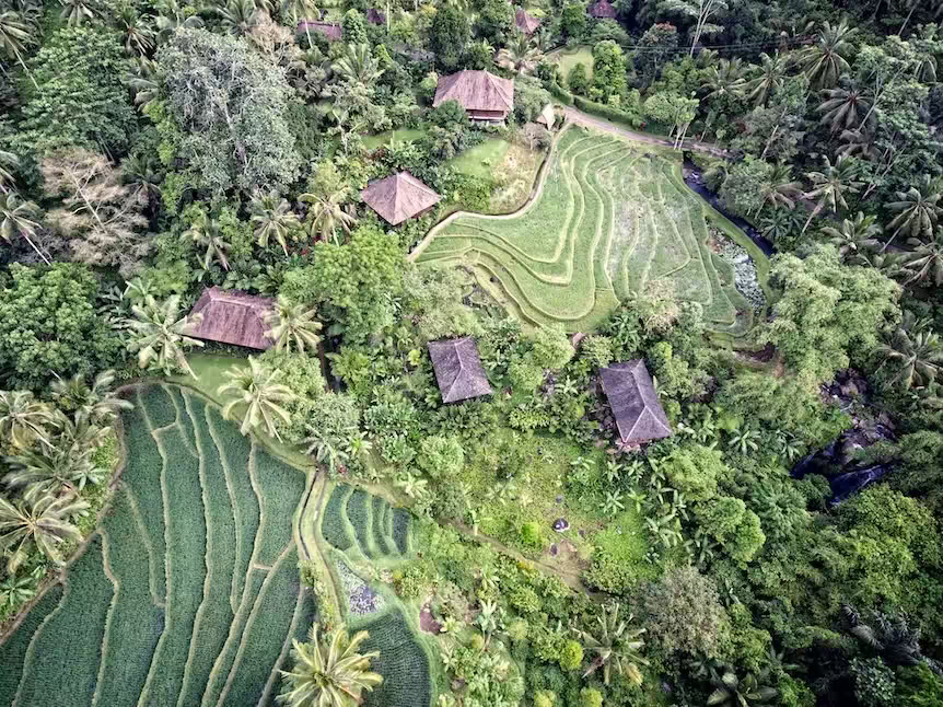 Purna Yoga Bali | Ashtanga yoga-retreater och utbildningar