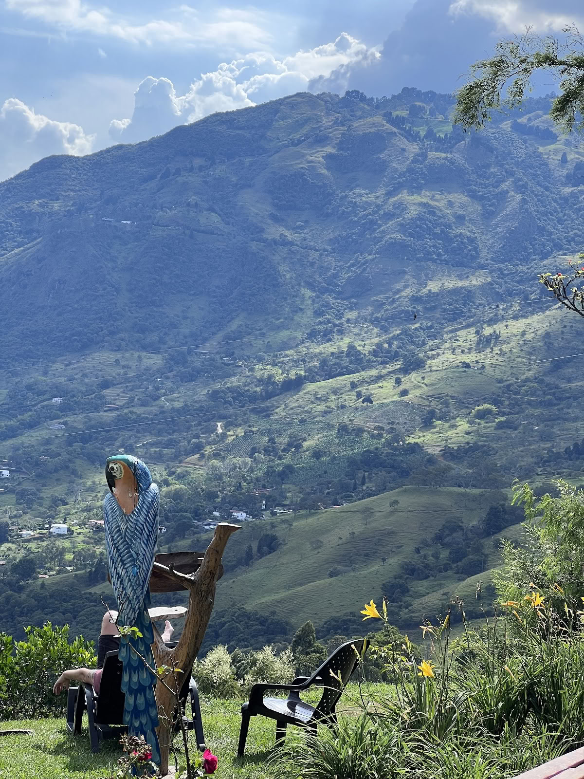 Harmonica Ayahuasca-retreat i Colombia (tidigare Guacamayo)