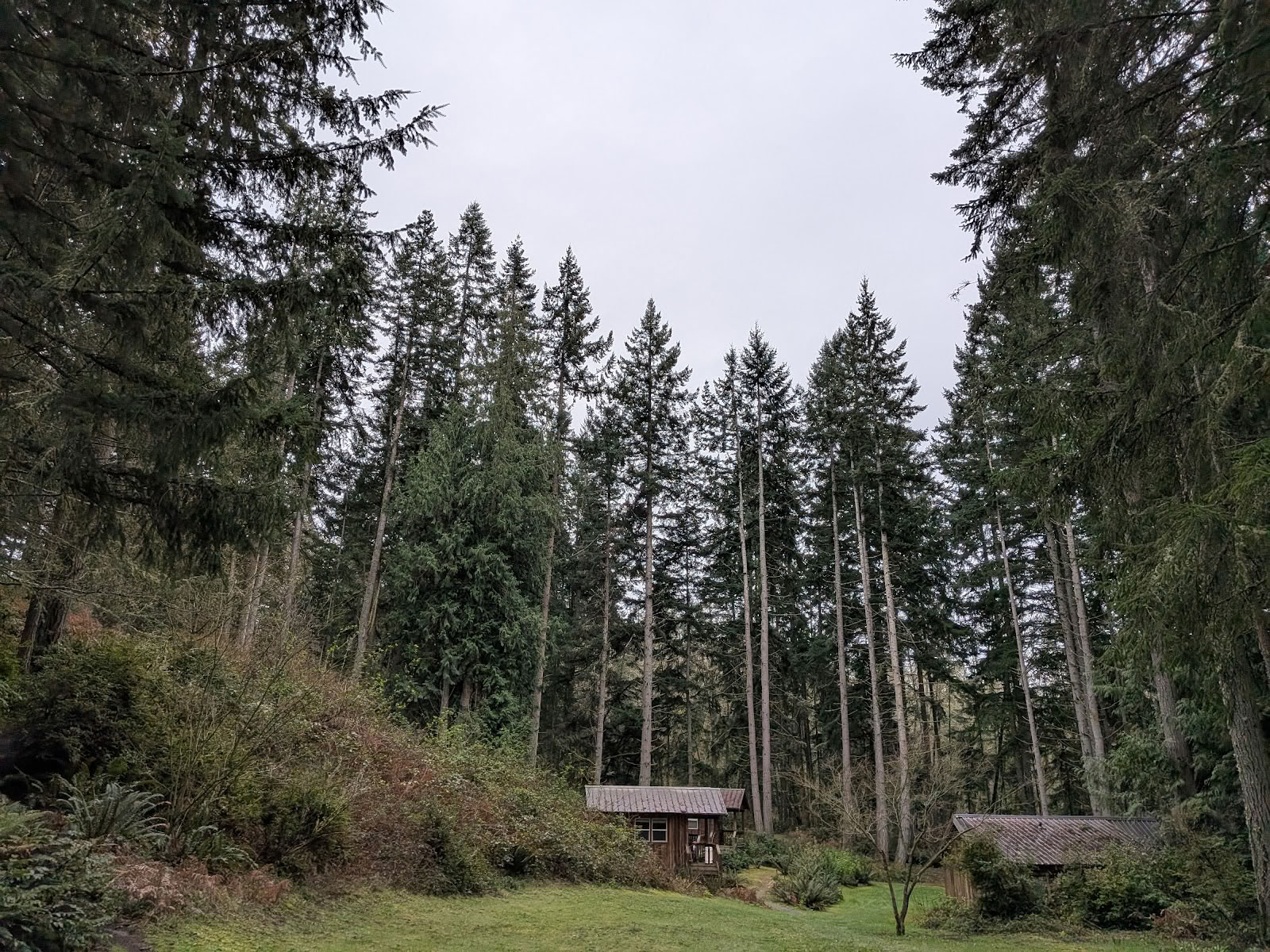 Whidbey-institutet