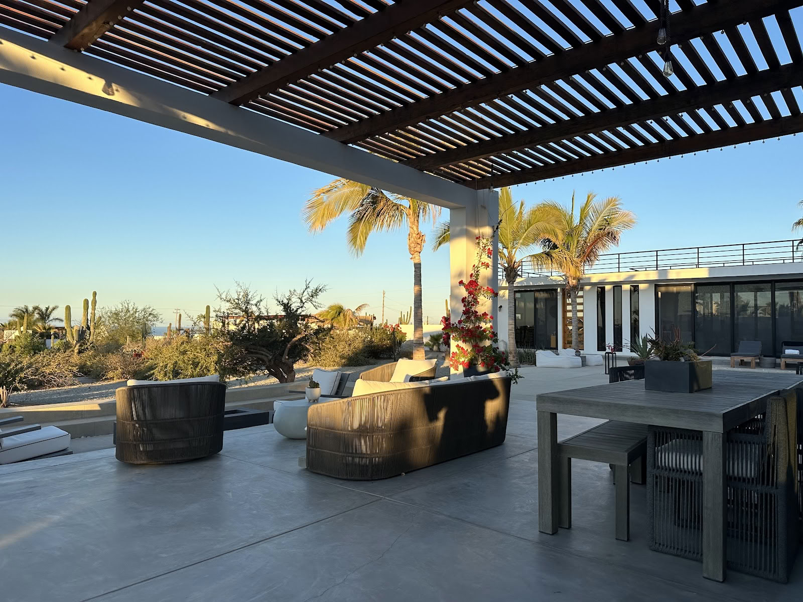 Dold Löv Baja