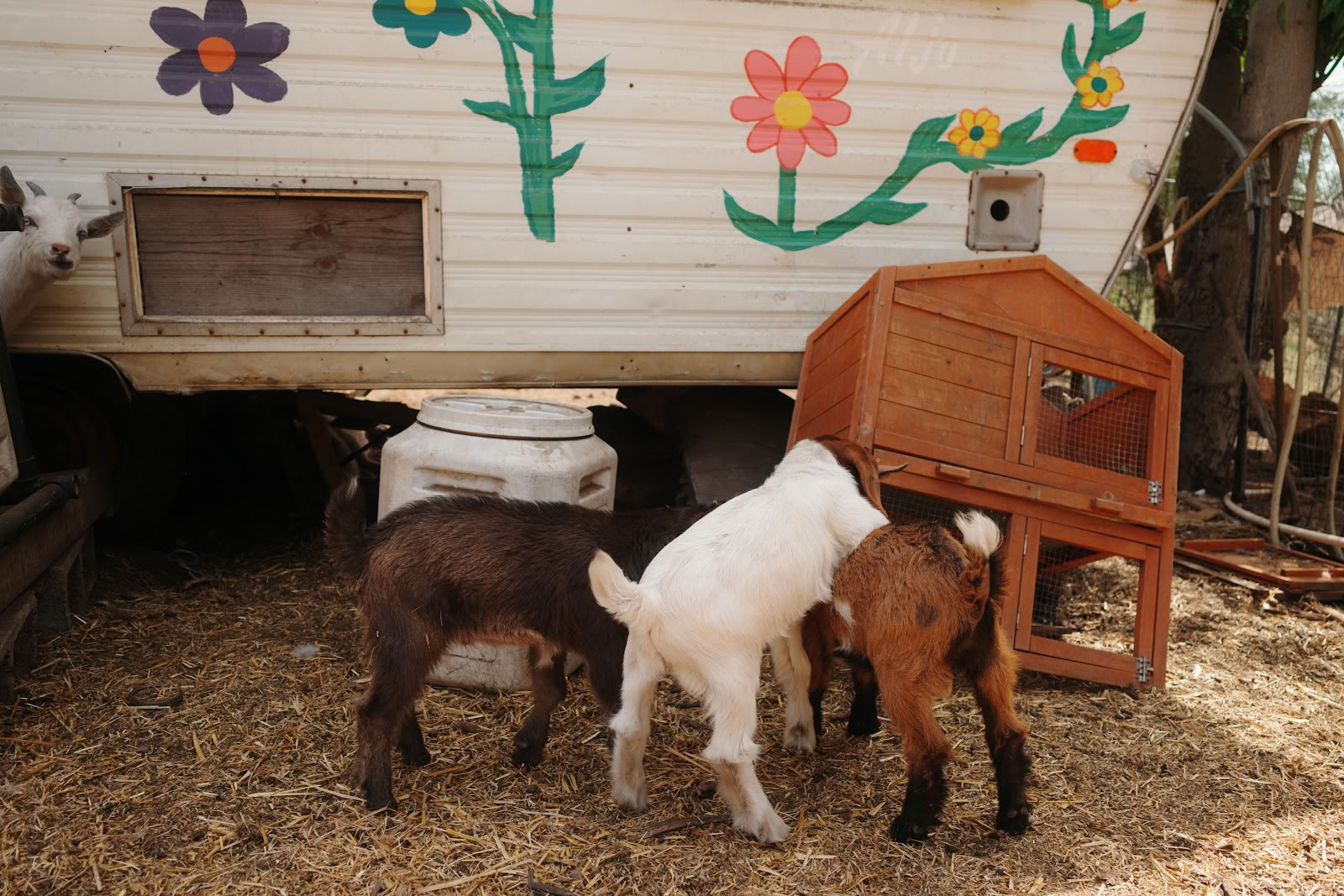 Splitrock Farm och Retreat