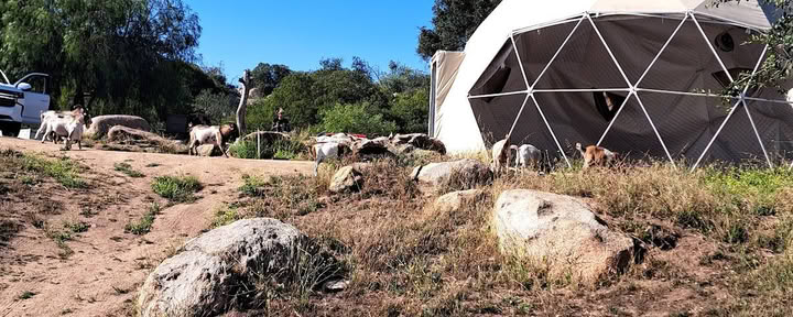 Splitrock Farm och Retreat