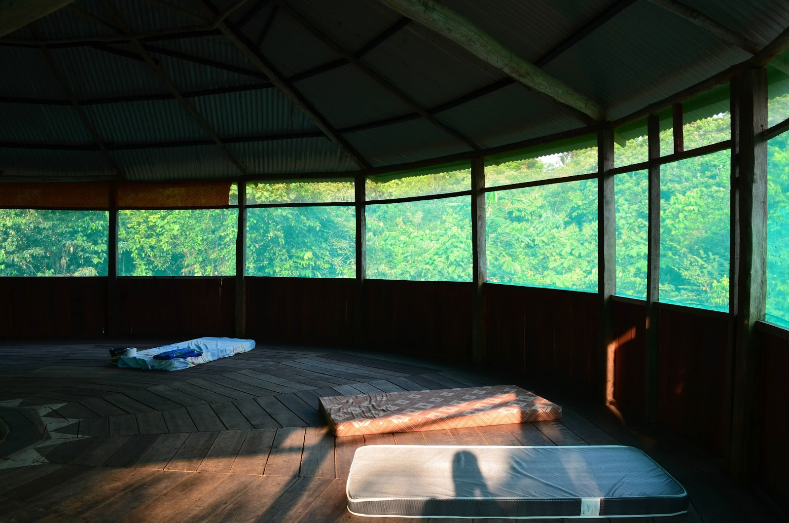 Officiellt Selva Madre Ayahuasca-retreat i Iquitos, Peru