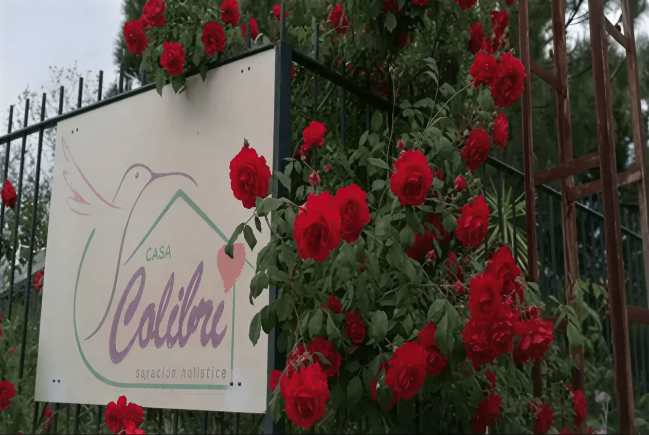 Casa Colibrí (holistisk hälsa)