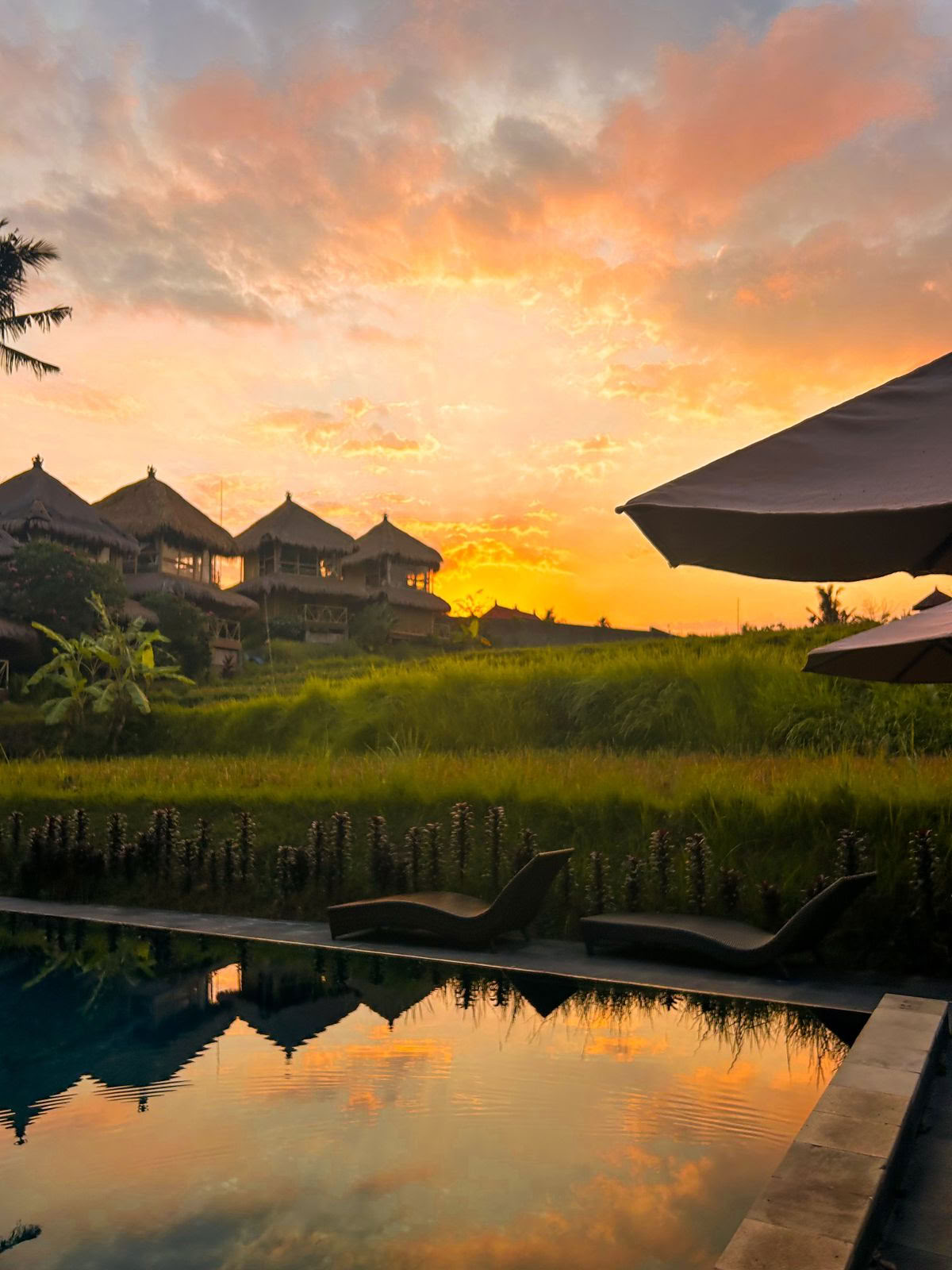 Yogautbildning på Bali – Yogaens nyanser