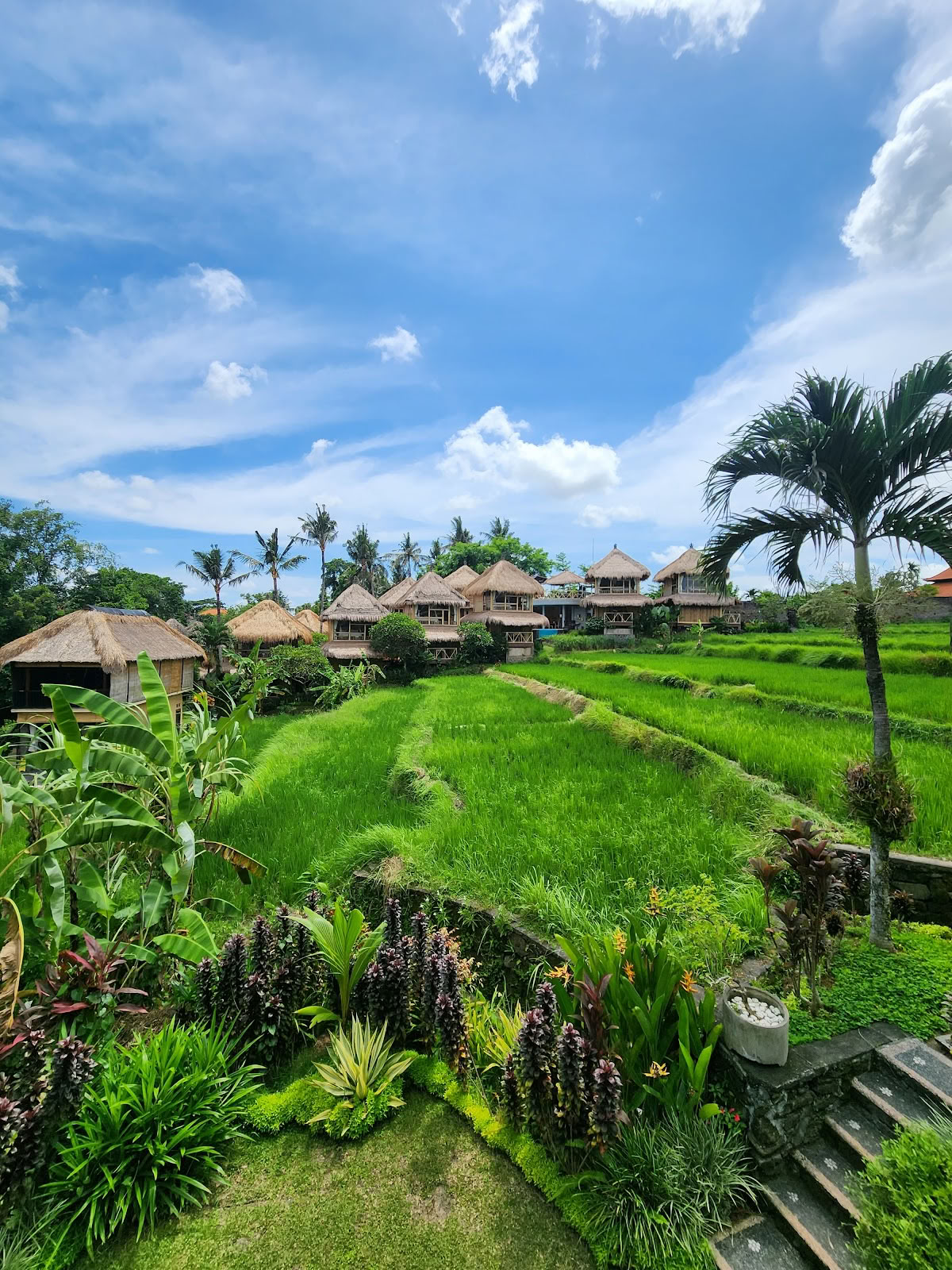 Yogautbildning på Bali – Yogaens nyanser