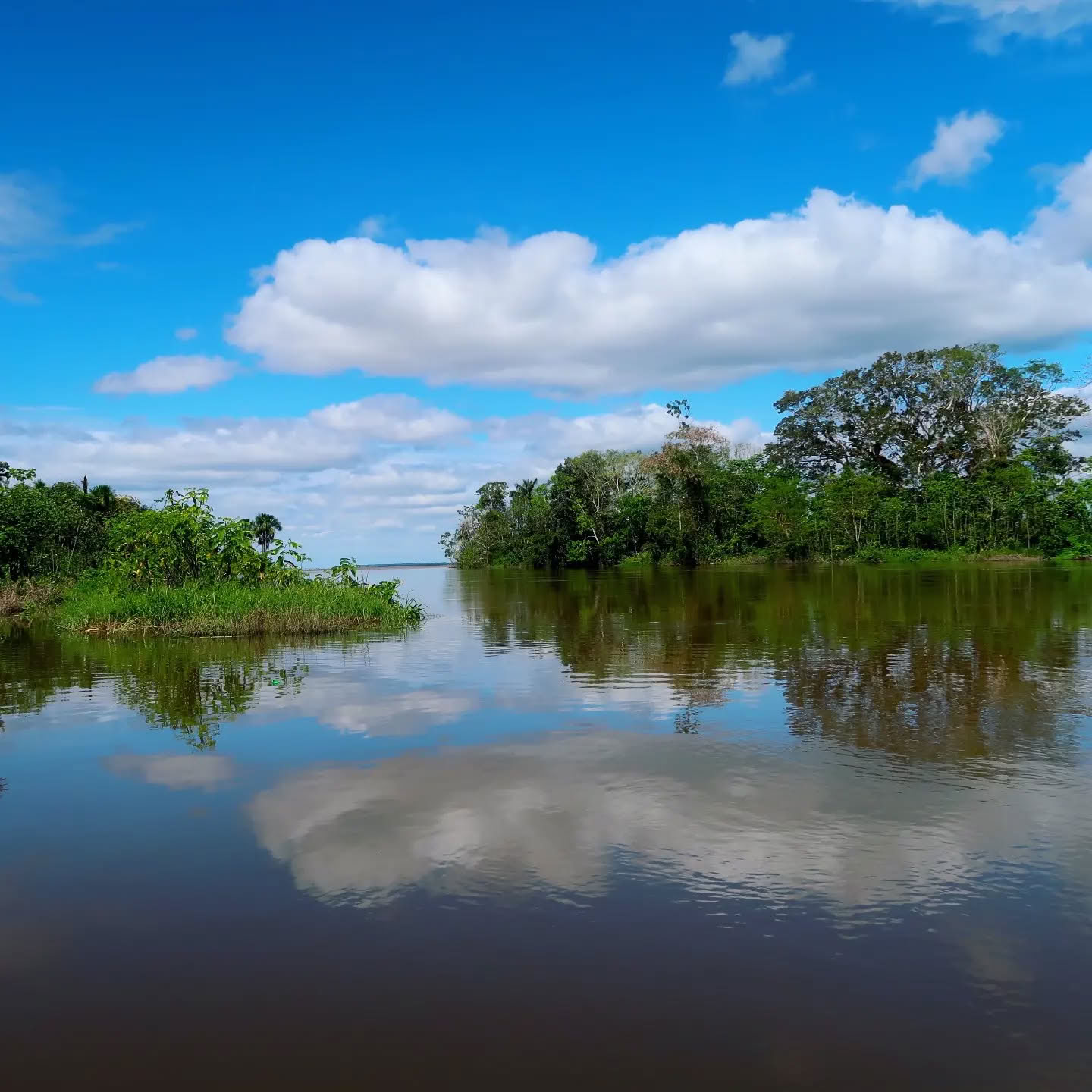 Amazonas måne