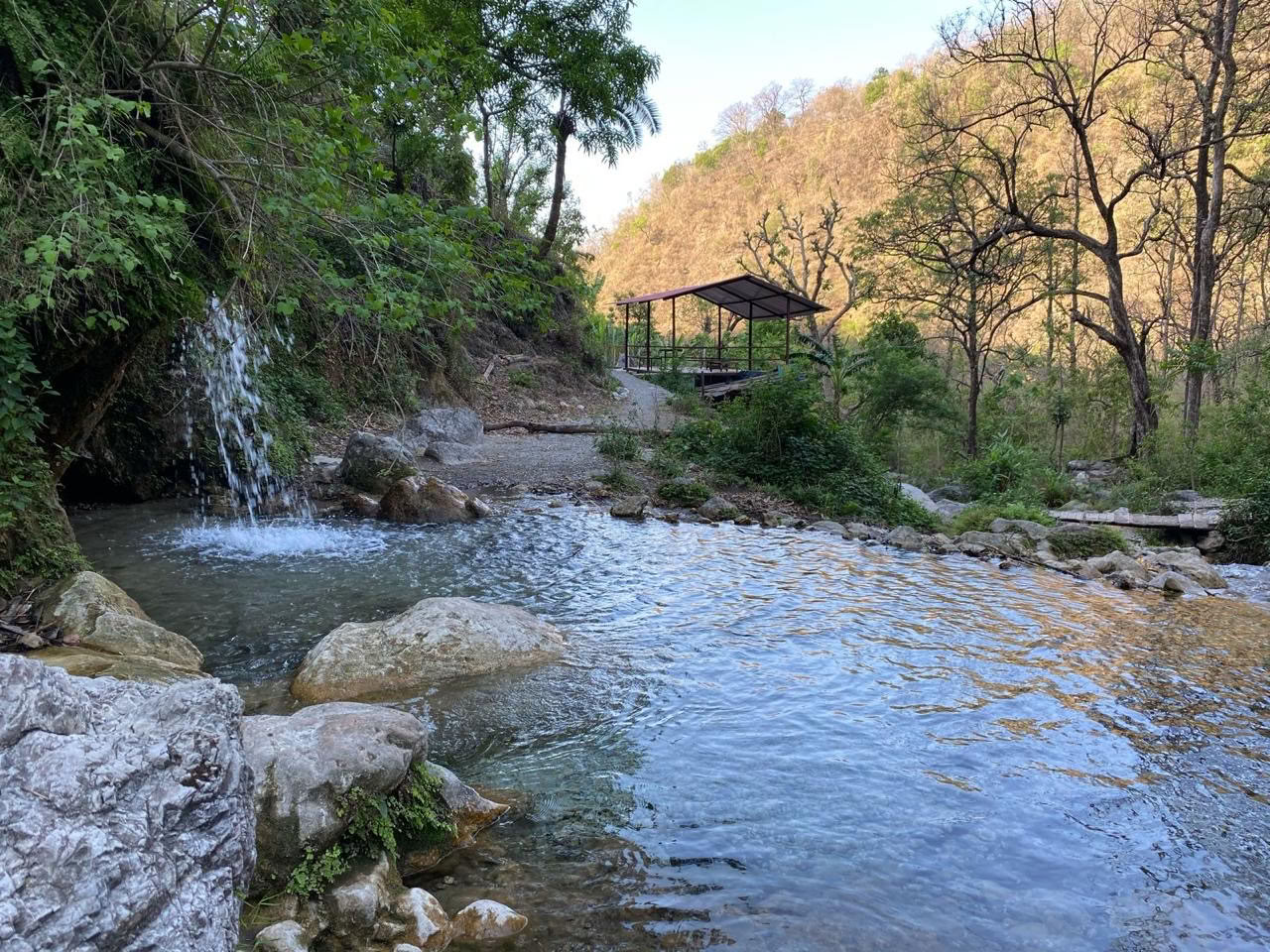 Mind Flow Harmony - Bästa yogalärarutbildningsskolan i Rishikesh