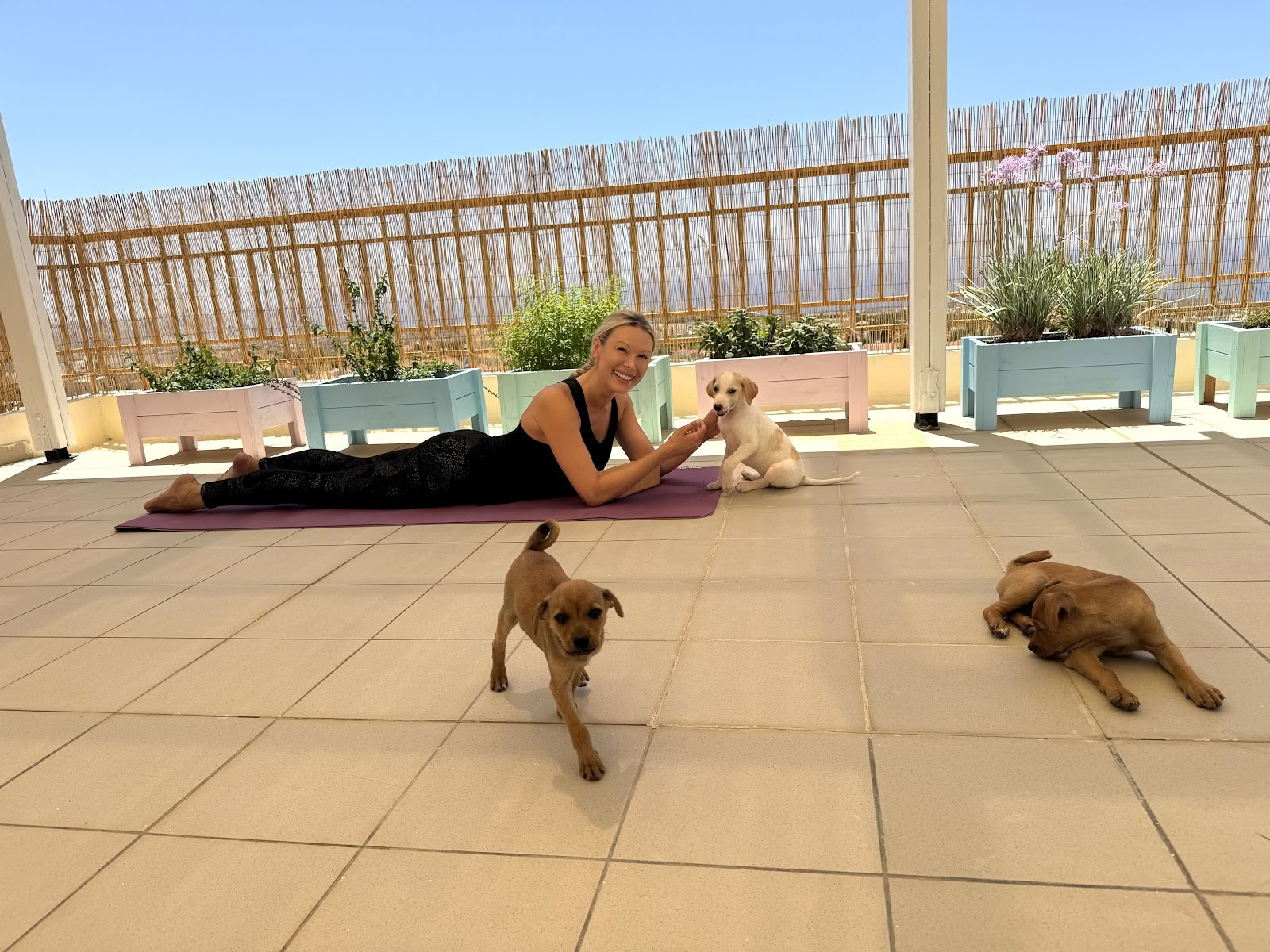Valp-yogaretreat