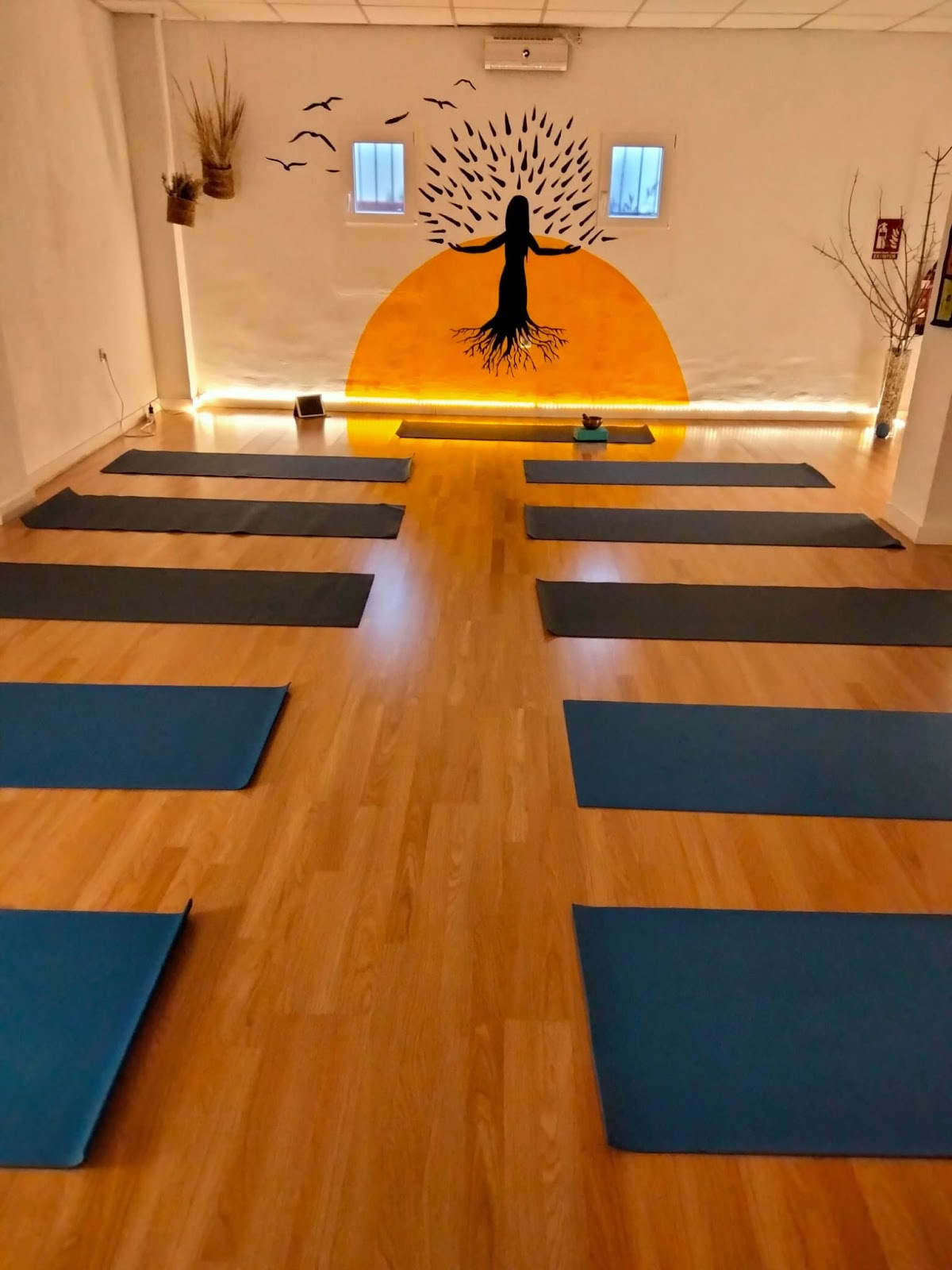 Alma y Tierra | Örtbutik | Centrum för naturliga terapier och yoga