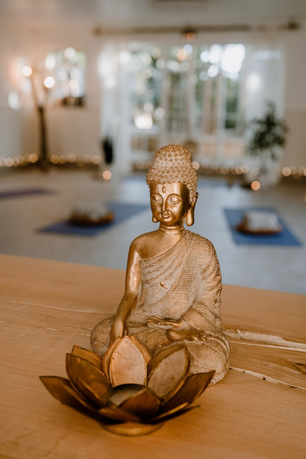 Transformera till lycka Yoga, event- och välmåenderum - Lagos, Algarve
