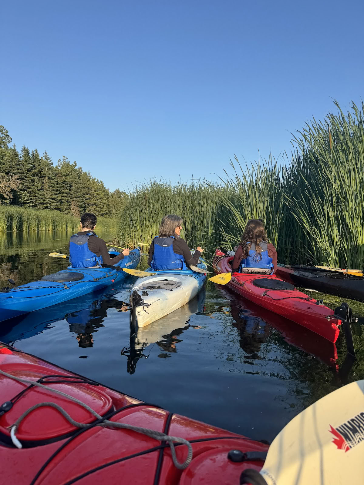 Naturresort och retreatercenter