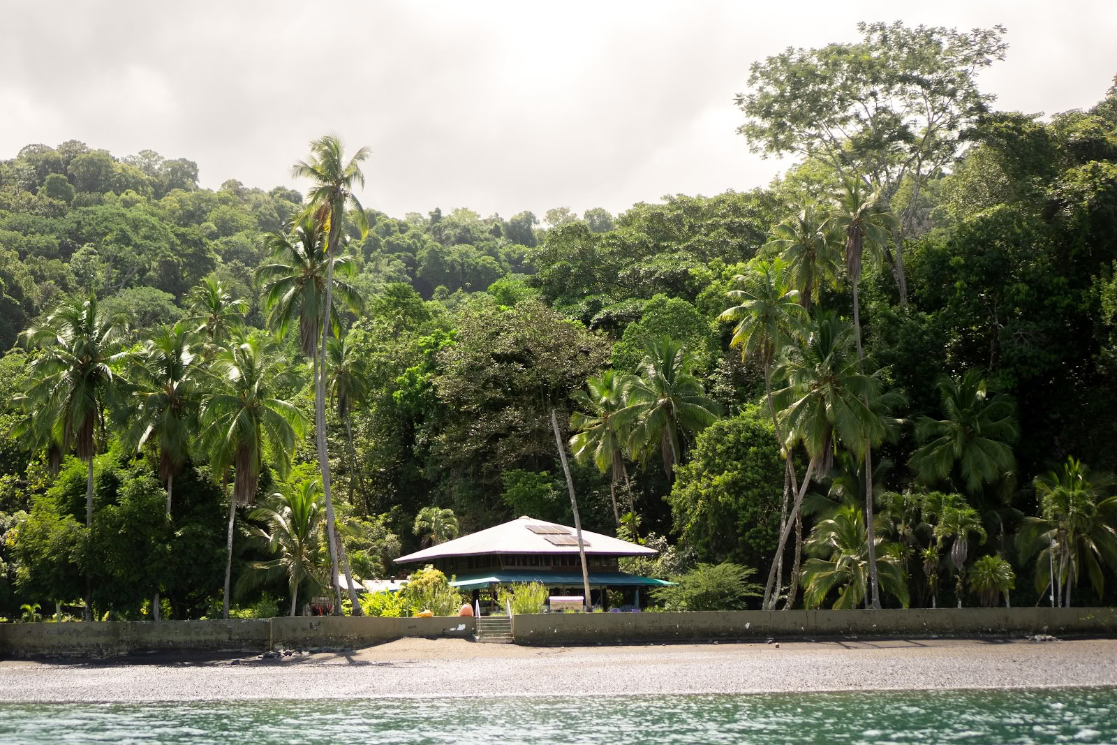 Pandorita Costa Rica – Ayahuasca-workshops