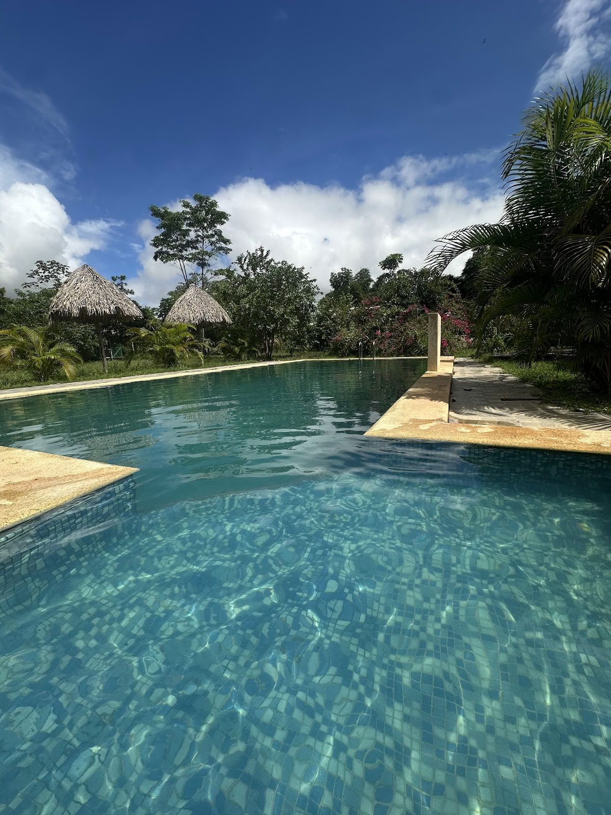 Ayahuasca Spirit Center