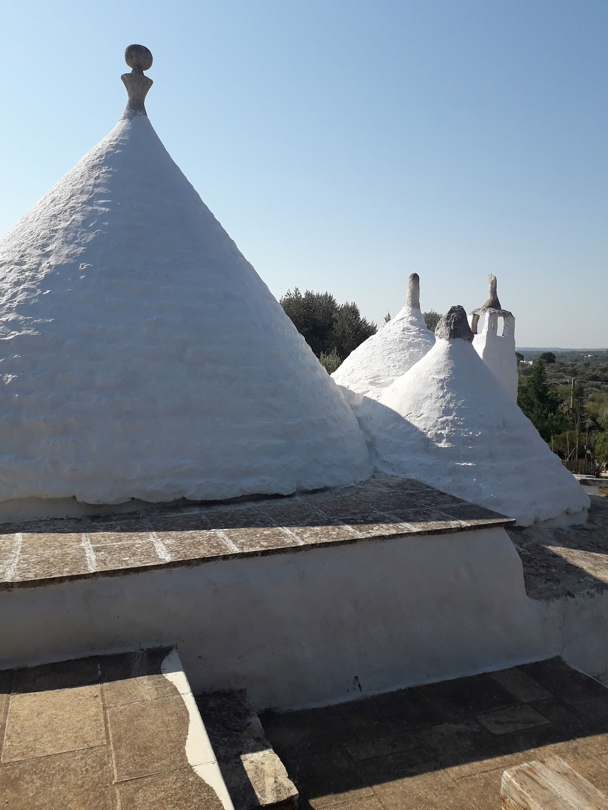 Casina Settarte