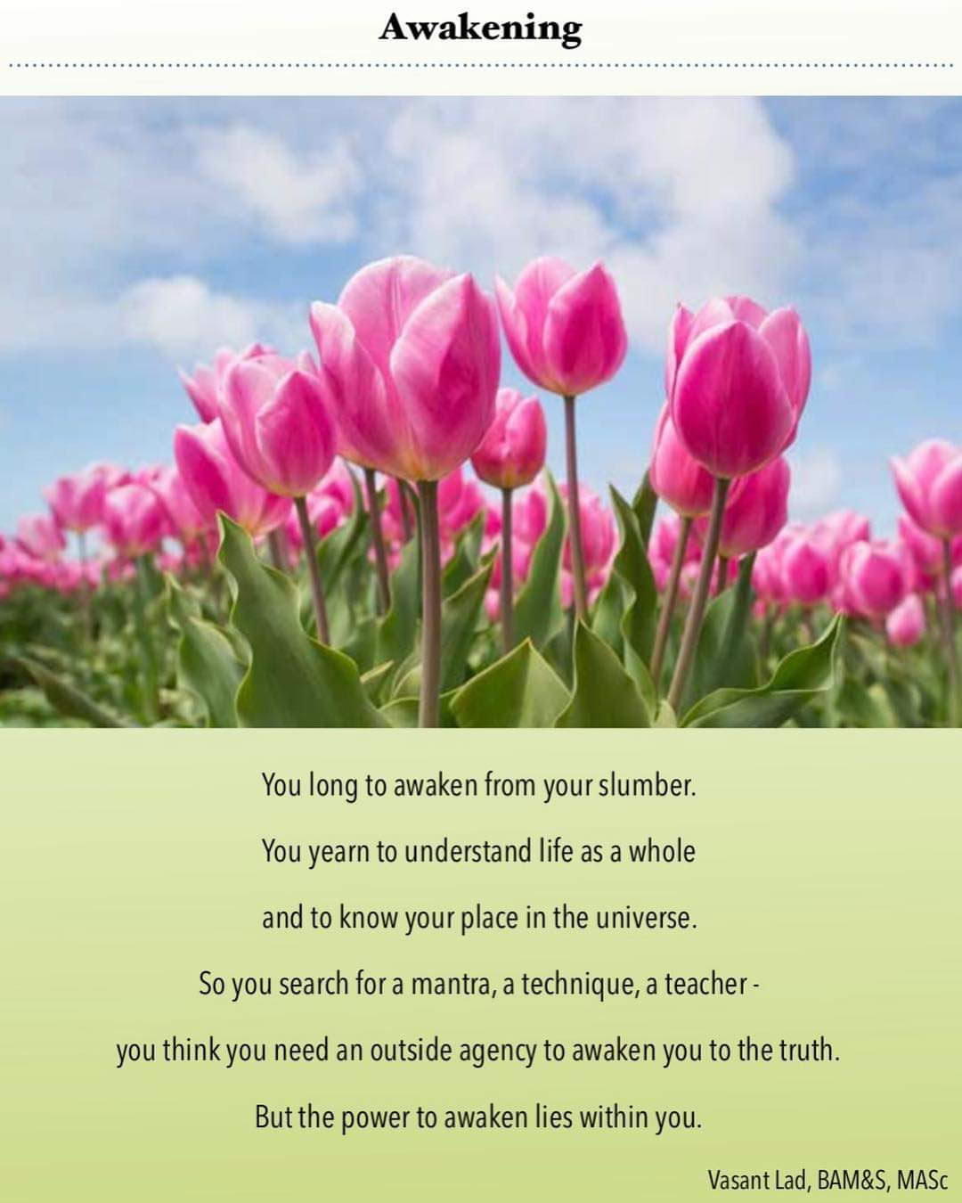 Omfamna Ayurveda
