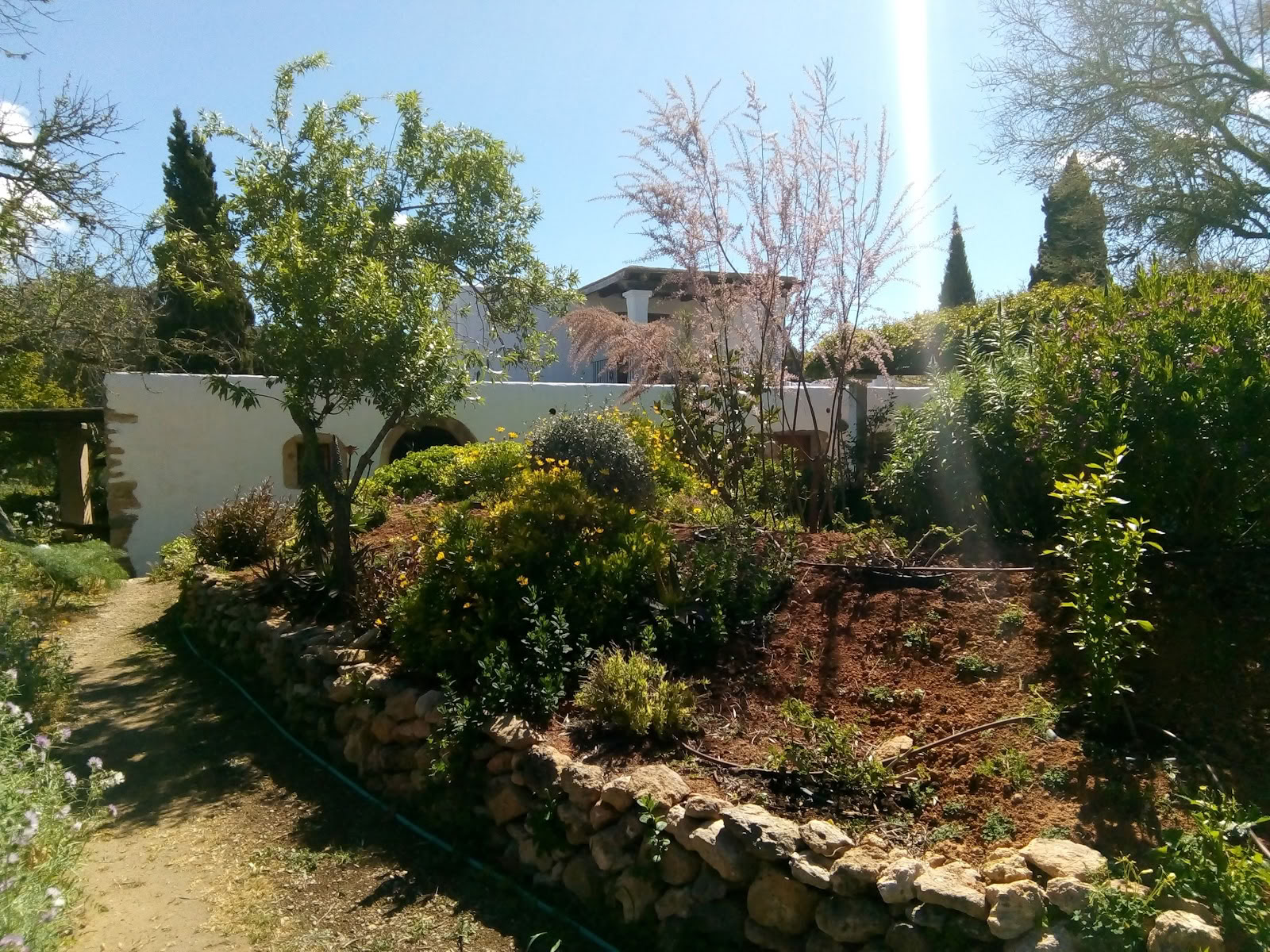 Ibiza Moving Arts