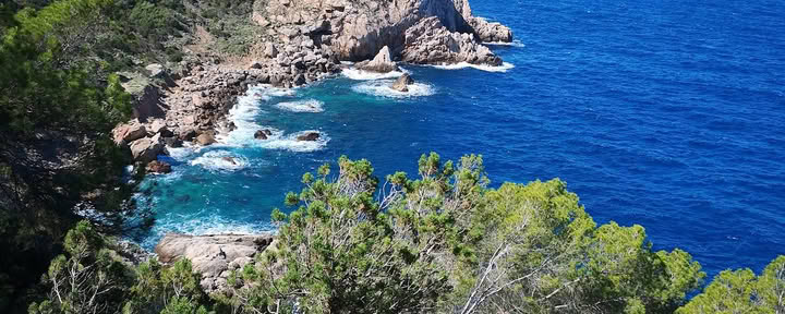 Ibiza Moving Arts