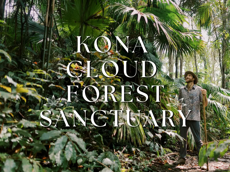 Kona molnskogssanctuary