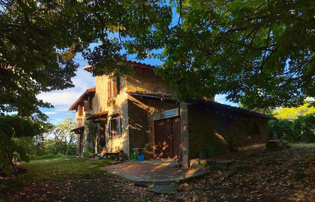 Kärlek, utveckling och uppvaknande på Mahadevi Ashram