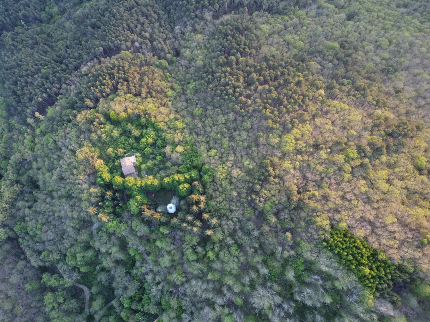 Kärlek, utveckling och uppvaknande på Mahadevi Ashram
