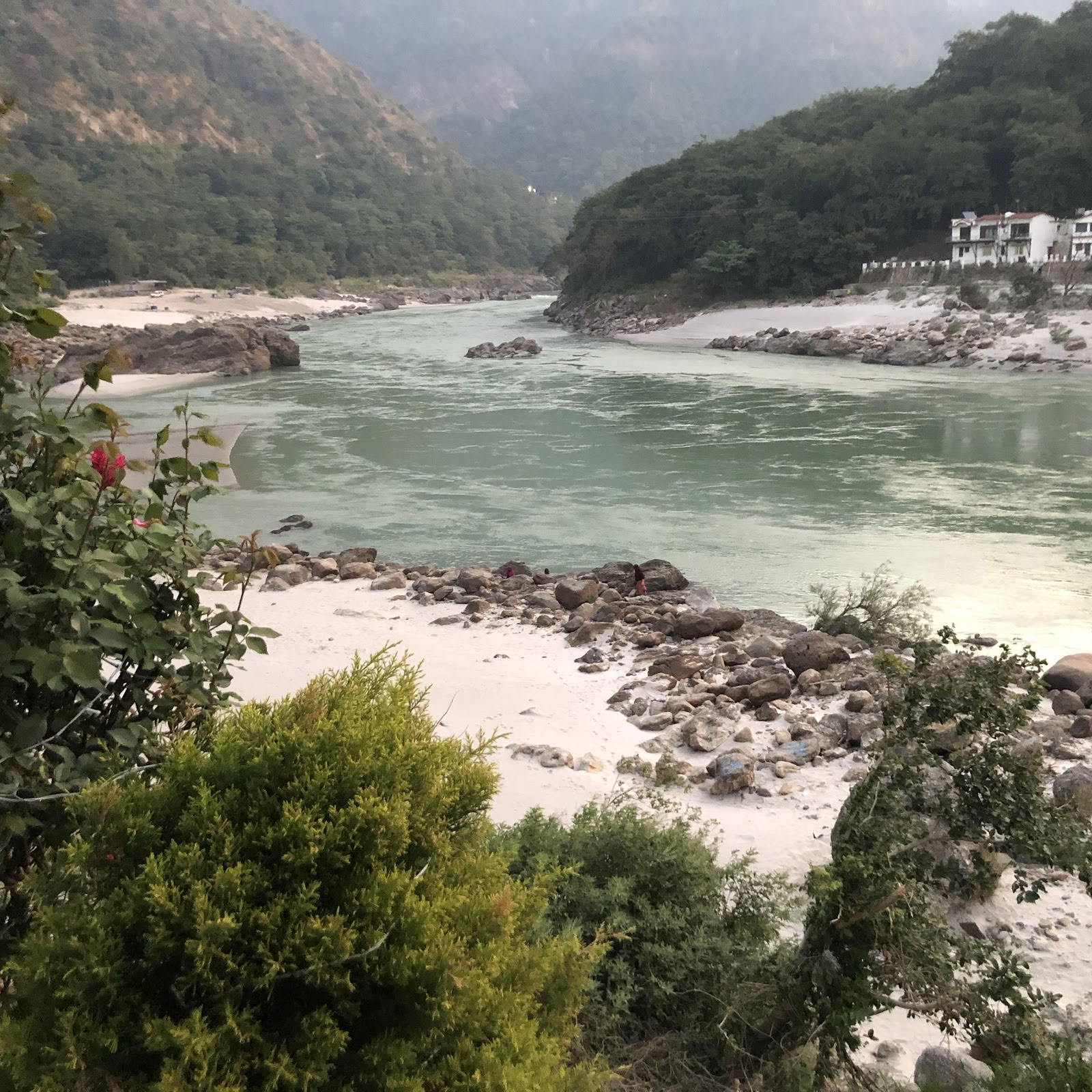 Ett himalayiskt yogainstitut i Rishikesh