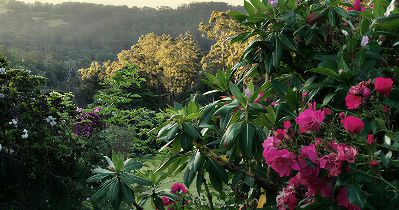 Mirador Springs Retreat