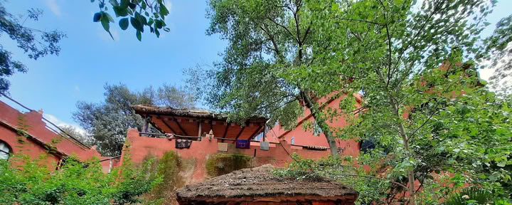 Salama Ayurveda
