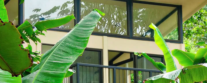Morpho Lodge